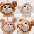 thumbnail image 3 of Bonito gorro de oso para disfraz de gato, gorro con orejas para mascota, gorro cálido., 3 of 5