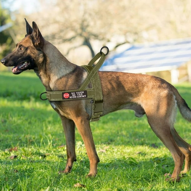 Reflective Dog Harness No Pull Military Tactical Pug Puppy Harnesses with Sticker Padded Pet Vest for Small Medium Large Dog ShopWise Round Bodega Aurrera en linea