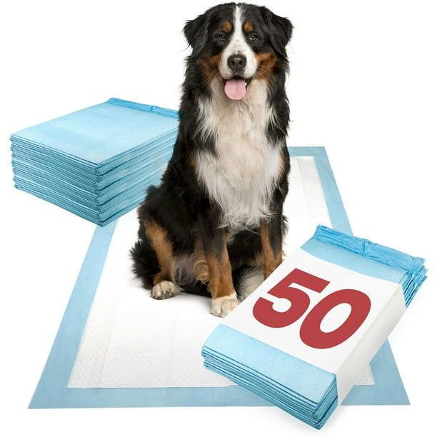 ValuePad Puppy Pads, Extra Large 28x36 Inch, 50 Count Economy