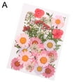 thumbnail image 2 of SPRING PARK Pressed Mixed Organic Natural Dried Flowers DIY Art Handicraft Gift Decoration, 2 of 6