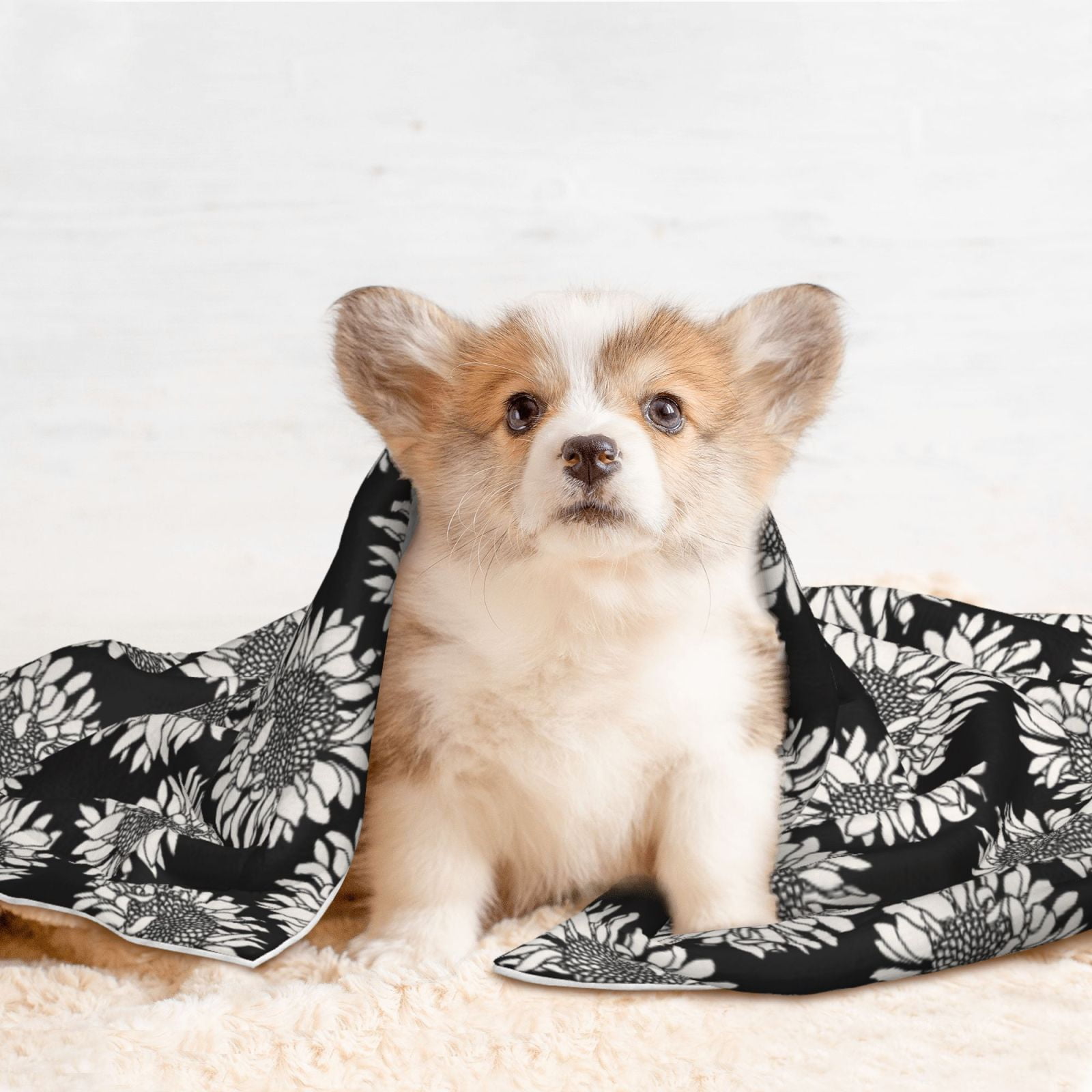 Naloa White Sunflowers Dog Blanket, 3 Sizes Cat Blanket for Indoor Cats Large Medium Small Dog Gifts-Medium