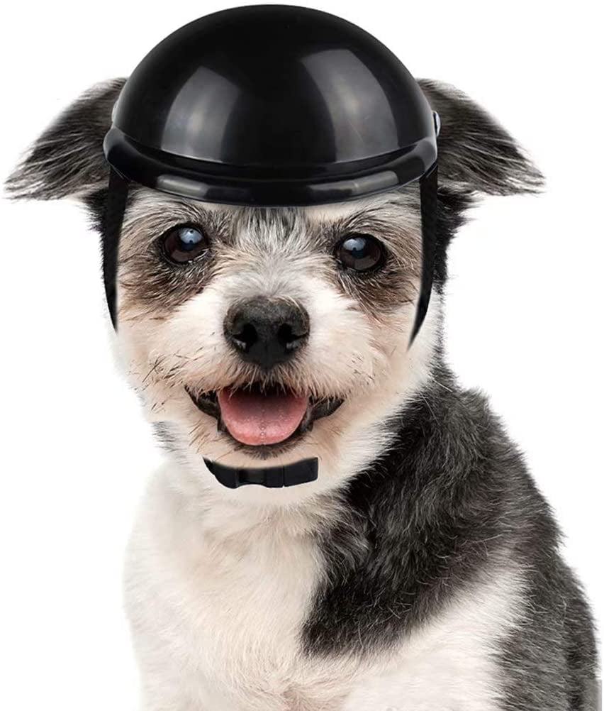 Pet Dog Ridding Winter Windproof Helmets Cap Puppy Bike Motorcycle Hat Helmet US 