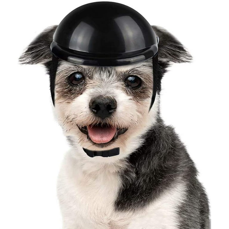 Dog motorcycle outlet helmet