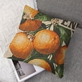 thumbnail image 7 of nygtbtfer Farm Pillow Cover  Farmhouse Decor Decorative Cushion Case for Sofa Couch Vintage Fruit Orange Decorations Throw Pillowcase  24x24in, 7 of 7