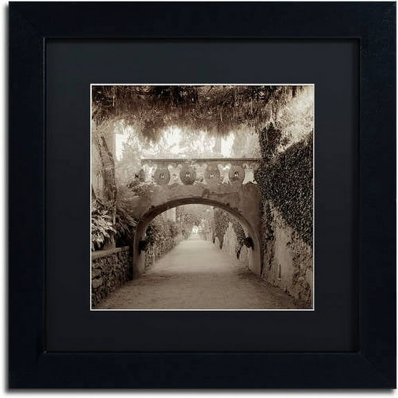 Trademark Fine Art "Giardini Italiano VI" Canvas Art by Alan Blaustein, Black Matte, Black Frame