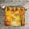 thumbnail image 3 of Ambesonne Nature Quilted Bedspread Set 3 Pcs, Autumn in Relax Forest, Queen Size, Orange Brown, 3 of 3