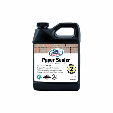 Rainguard Premium Paver Sealer Concentrate (Makes 2 Gal), 32 (The Best Of Gail Palmer)