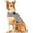 Gray, variant on Sport Dog Anxiety Jacket , Vet Recommended Calming Solution Vest for Fireworks, Thunder, Travel, Separation