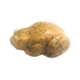 thumbnail image 5 of Indus Valley Bio Organic Natural Henna Color de cabello para cabellos grises - 3.53 oz (marrón castaño), 5 of 5
