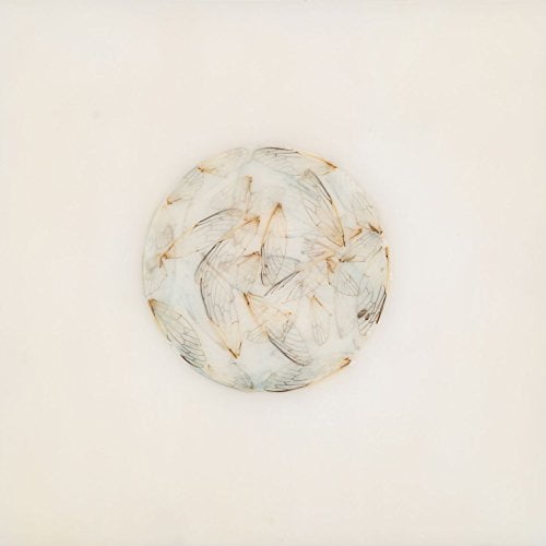 Lotte Kestner - Off White - Rock - CD