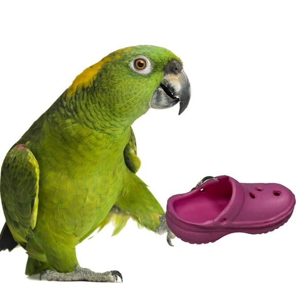 Super Bird Creations SB1192 Crocs Bird Toy - Ideal for Parrots, Ringnecks, Quakers, Small Cockatoos - Perfect for Chewing, Foraging, and Boredom Relief - Colorful Foot Toy - Medium Bird Size, 5-Pack