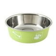 thumbnail image 2 of Deyuer Pet Feeder Bowl Durable Non-slip Stainless Steel Thickened Dog Cat Food Bowl for Home,Fluorescent Green, 2 of 8