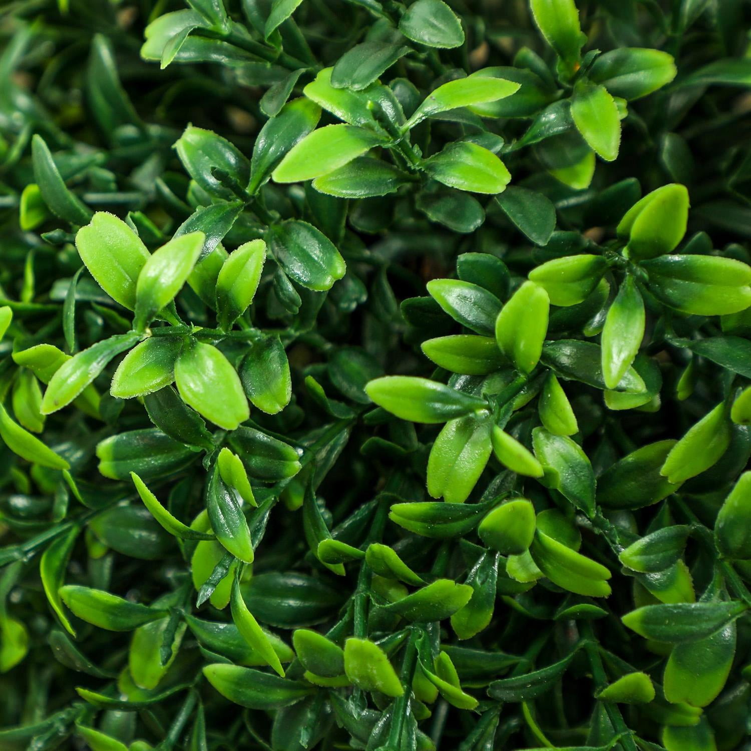 Demi Bonn 36" Artificial Ball Boxwood Topiary Trees Set of 2, Fake Plants in Pot for Indoor Outdoor Living Room, Green