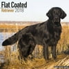 Flatcoated Retriever Calendar 2018 - Dog Breed Calendar - Wall Calendar 2017-2018