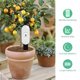 thumbnail image 3 of Smart Soil Tester Detector Humidity Temperature Moisture Sensor, 3 of 5