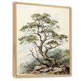 thumbnail image 2 of Designart "Enchanting Redwood Forest V" Tree Redwood Floater Framed Canvas Wall Art, 2 of 5