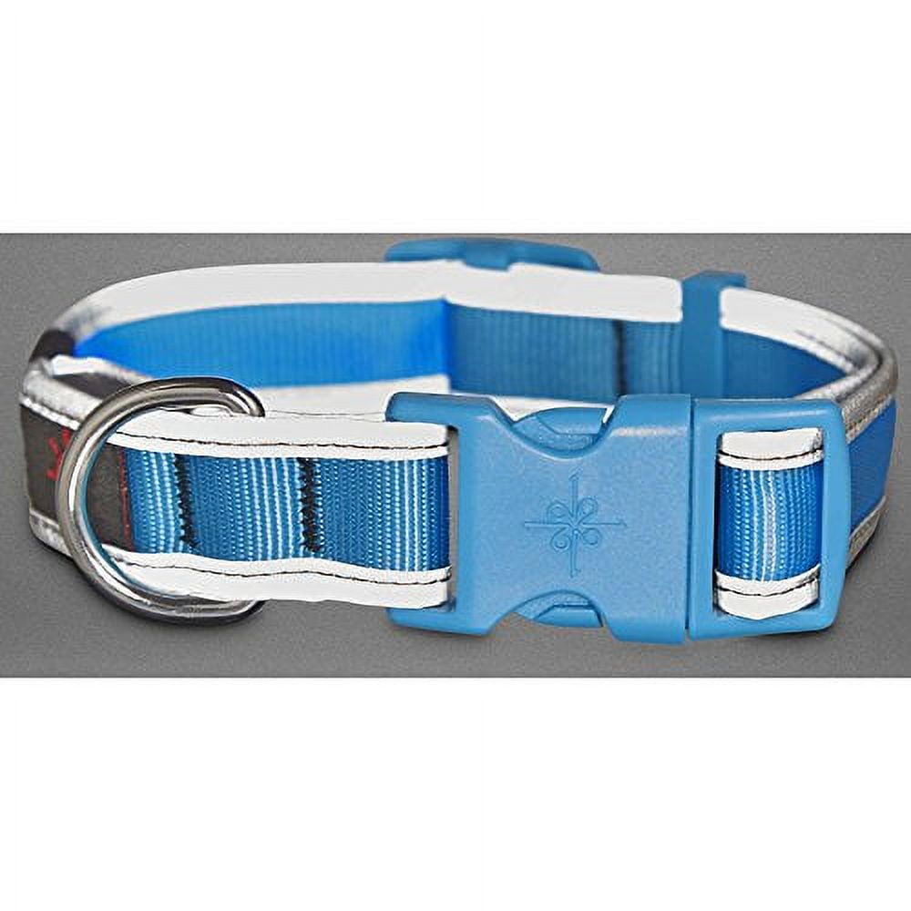 Good2Go LED Light Up Collar for Dogs in Blue Large Walmart