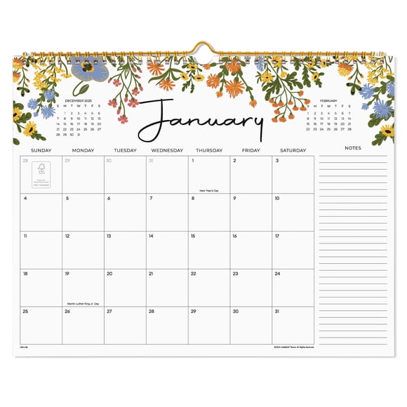 Calendario Cabbrix Wall 2026 (18 meses de enero a junio)