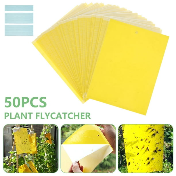 NKTIER Yellow Sticky Fly Trap, 50 Pest Traps For Fruit Flies Fungus G ...