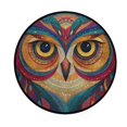 thumbnail image 2 of 36.2 Inch Round Floor Mat Colorful Owl Face Carpet Decor Rug for Living Room Bedroom, 2 of 6