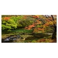 thumbnail image 2 of Fall Trees in Bright Colors - Landscape Canvas Art Print, 2 of 3
