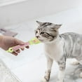 thumbnail image 6 of Cat Strip Spoon Easily Press (without Wasting) Kitten Licking Spoon Green, 6 of 8