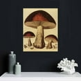 thumbnail image 4 of ONETECH  Vintage Mushroom Botanical Wall Art Painting, Rustic Vintage Mushroom Canvas Poster  Wall Decor for Living Room, Bedroom, Office, Dining Room, 4 of 4