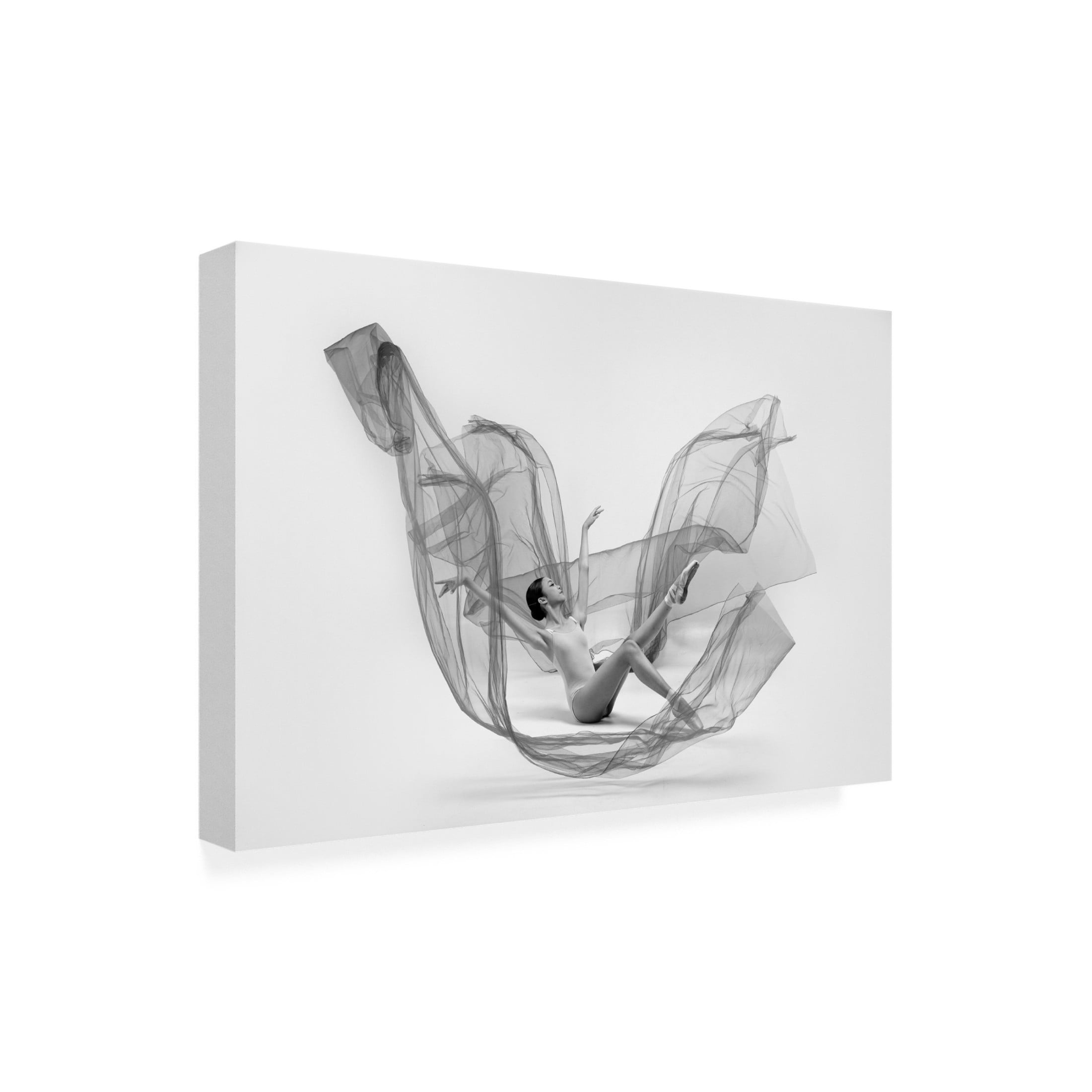 Trademark Fine Art Lisdiyanto Suhardjo Ballerina Inside The Cloth Canvas Wall Art