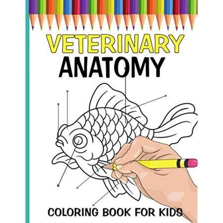 Veterinary Anatomy Coloring Book For Kids: Physiology Animals Colouring  WorkBook For Children | Walmart Canada