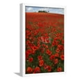 thumbnail image 1 of Common Poppies in Field, April, Framed Art Print Wall Art Sold by ArtCom, 1 of 5
