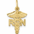thumbnail image 1 of 10K Yellow Gold Nurse Charm (20 X 12) Made In United States -Jewelry By Sweet Pea, 1 of 6
