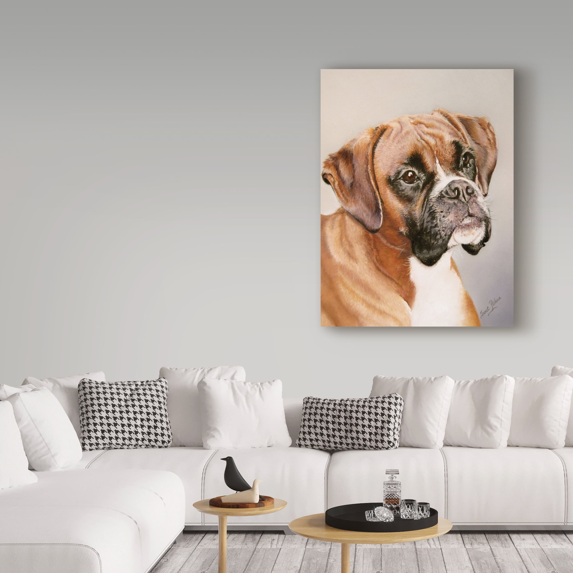Trademark Fine Art 'Boxer Gray' Canvas Art by Janet Pidoux