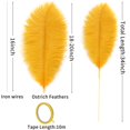 thumbnail image 4 of Kit de plumas de avestruz Soarer Gold, 10 unidades, 86 cm, tamaño grande, 4 of 6