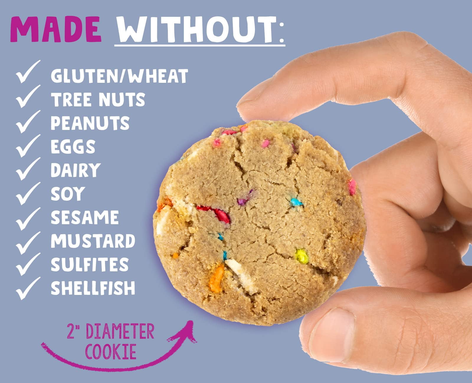 Allergy Smart Birthday Cake Cookies 4.95 oz (Pack Of 6)