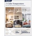 thumbnail image 3 of Ventilador de Techo Fanbulous 42" con Luz y Control Remoto 3CCT 6 Velocidades, 3 of 7