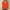 Orange#2, variant on GaThRRgYP Off the Shoulder Tops for Women,Womens Summer Tunics Tops Short Sleeve,Womens Tops 3/4 Sleeve Plus Size 2025