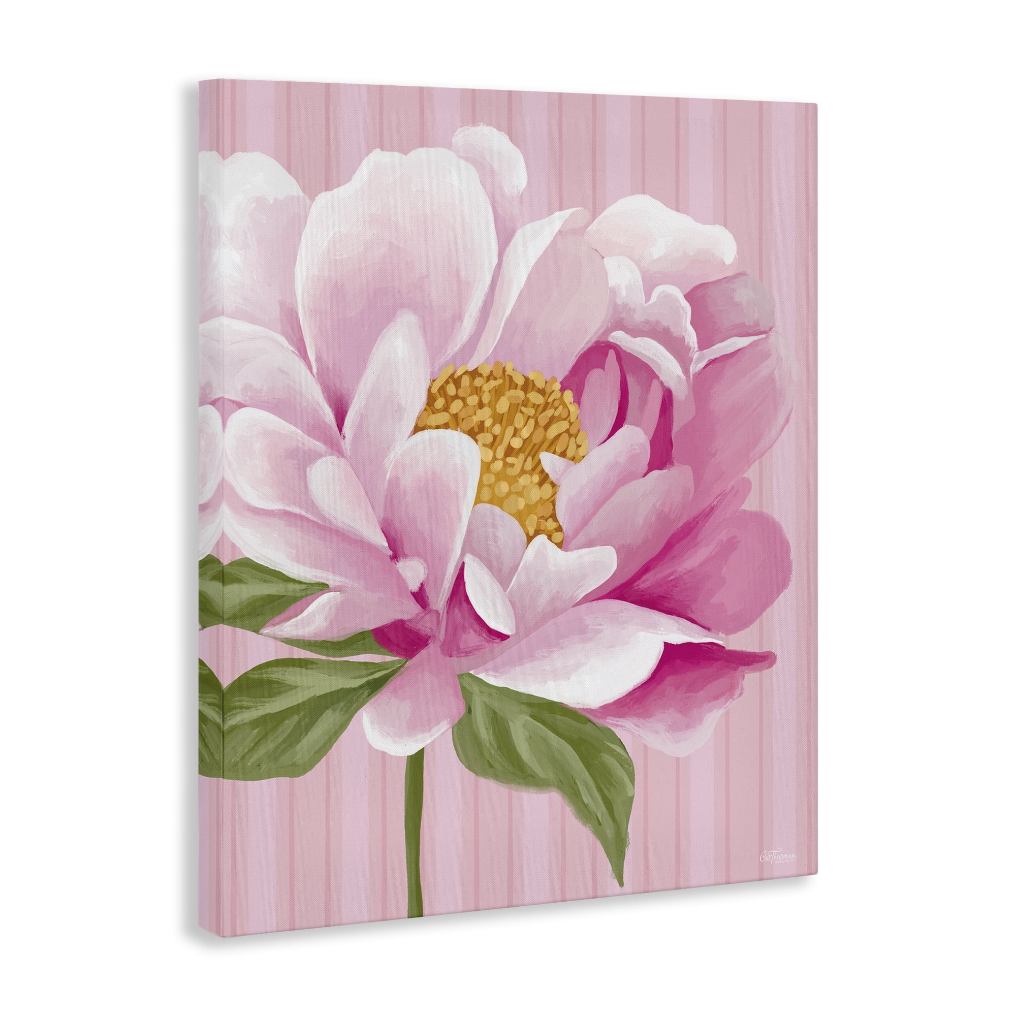 Stupell Industries Pink Carnation Bloom Botanical & Floral Painting Gallery Wrapped Canvas Art Print Wall Art, 24 x 30