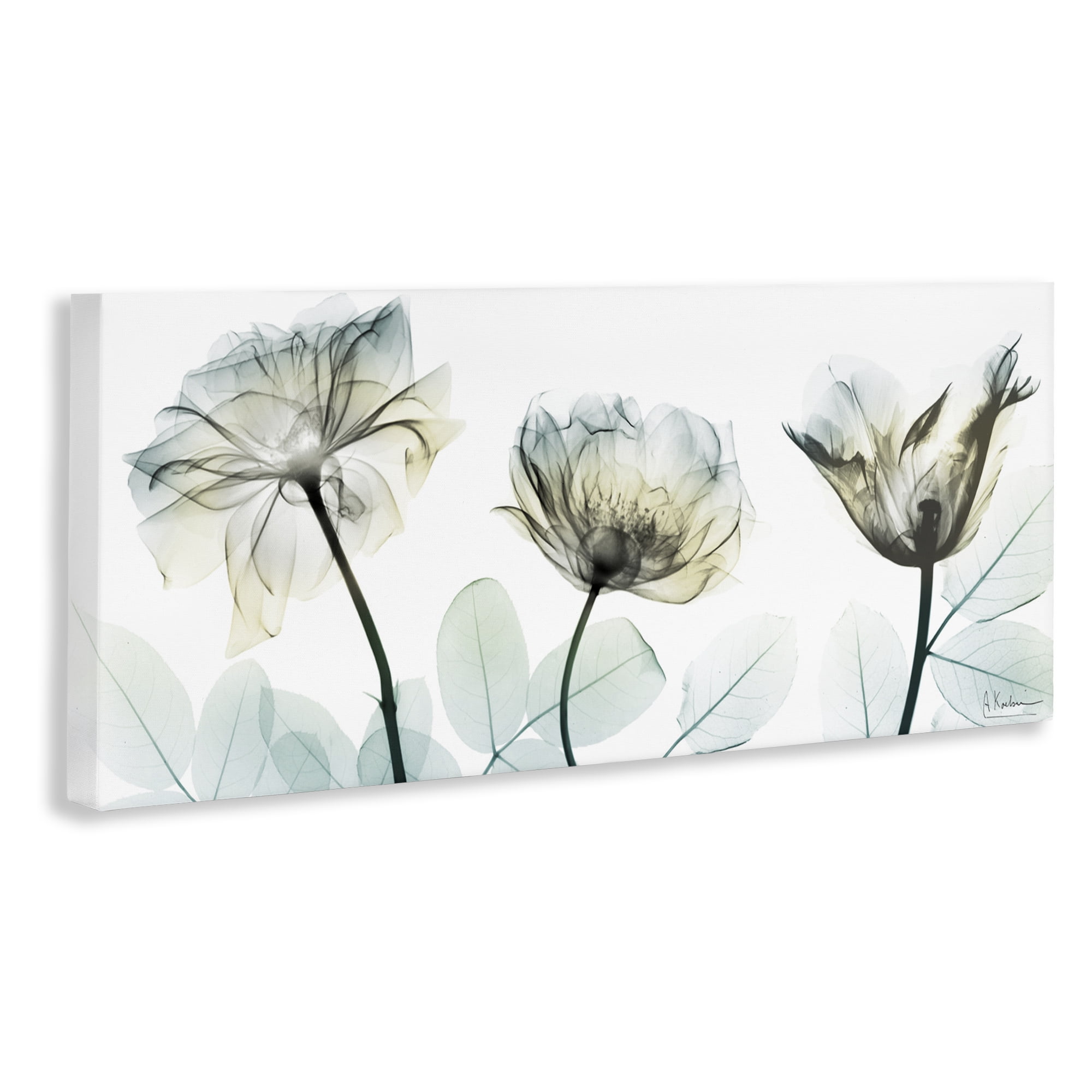 Stupell Industries Jewels Of Passion Canvas Wall Art, design by Albert Koetsier