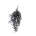 thumbnail image 1 of Cateissary 2 piezas colgantes plantas artificiales decoración plantas falsas hoja vid montado en la pared hogar dormitorio balcón púrpura Type3 NO3, 1 of 6