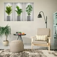 thumbnail image 5 of 3/4PCS 3D Three-Dimensional Potted Plants Wall Decals,Green Plant Wall Decal,DIY Peel and Stick Tropical Potted Wall Stickers Adhesive Wall Stickers for Living Room, Entrance Decoration Wall Sticker, 5 of 8