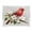 Beautiful Red Bird, variant on Acrylic Tray Clear Serving Tray Rectangle Decorative Tray with Cut Handle Beautiful Red Bird