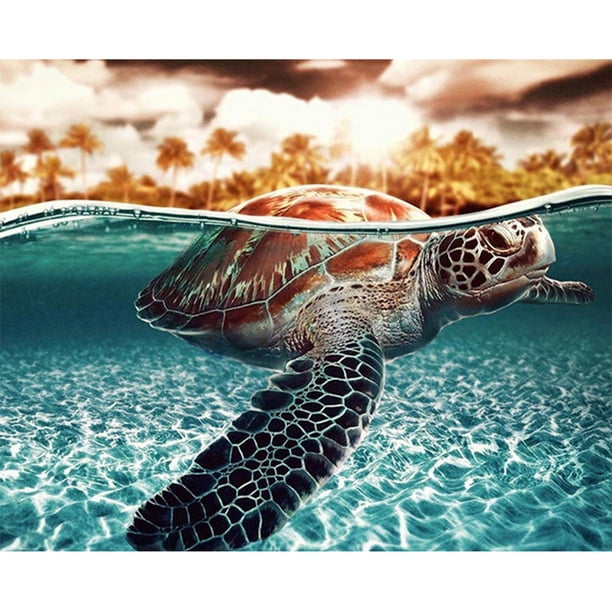 Wdftyju Kit de pintura por números DIY tortuga marina lienzo pintado a mano arte al óleo imagen artesanal Wdftyju 3wl7vh1kh2kk2rg4