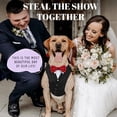 thumbnail image 2 of Esmoquin de perro para uso diario, disfraz de boda con pajarita para perros, 2 of 6