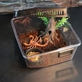 thumbnail image 1 of 1 pedazo Reptile Vivarium Reptile Terrarium Caja - Blanco Salvador Terrario vivero de reptiles, 1 of 10