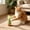 B, variant on Cififendec Bell Filled Mesh Tube Cat Toy, 2.16", Flexible Ring Shaped Bite Toy for Kitten Chewing Interactive Indoor Playtime
