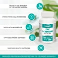Supersmart Zinc LCarnosine 75mg per Day (Zinc Carnosine) GI Tract