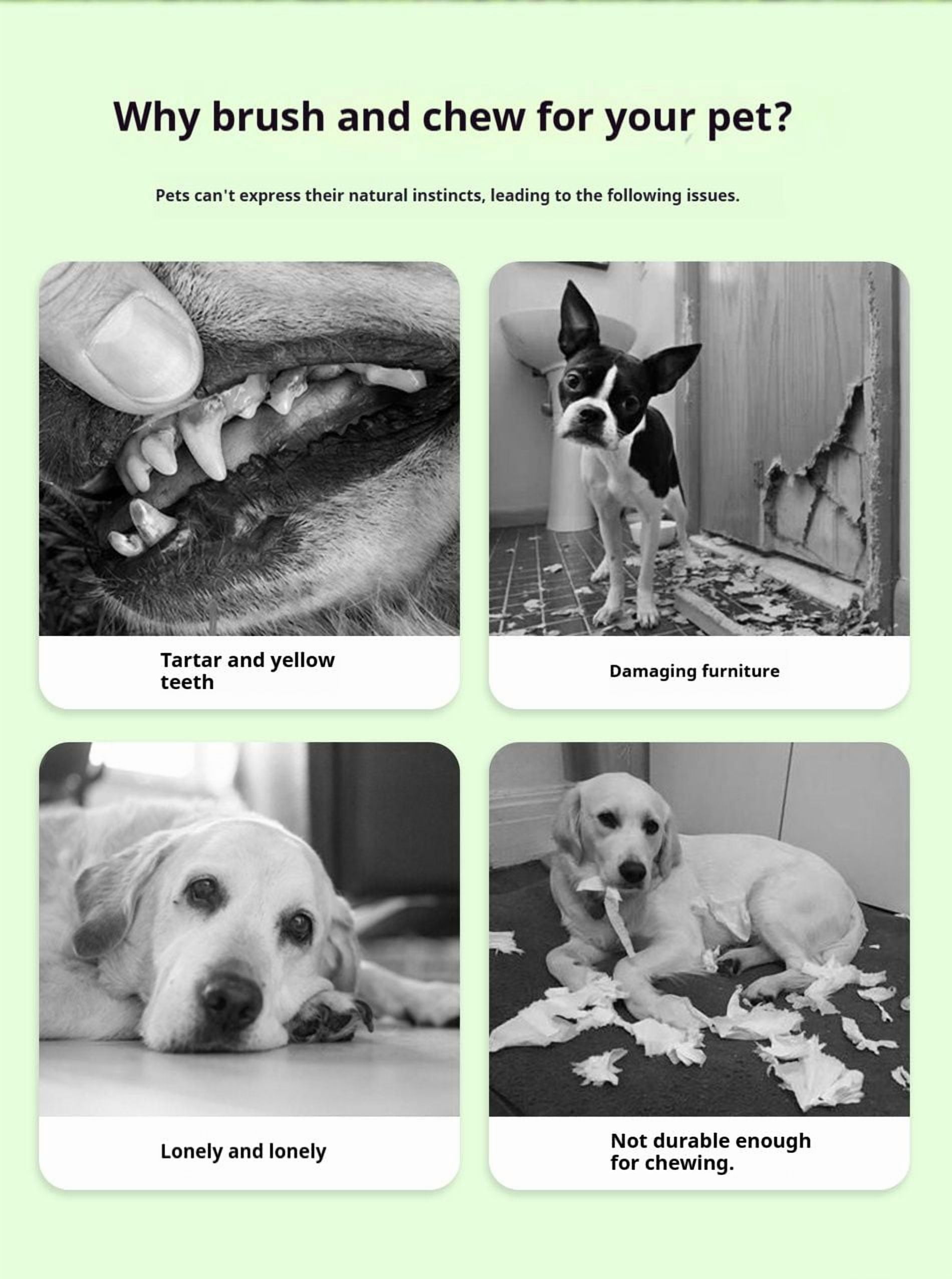 Chew Toys for Teeth Cleaning,Pet Sausage chew Brush,Pet chew & Clean Buddy