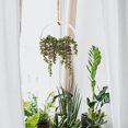 thumbnail image 3 of 1pc Artificial Succulent Hanging Plants 12.2 inch Fake Pearl, 3 of 3