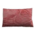 thumbnail image 1 of Ahgly Company Outdoor Rectangular Contemporary Lumbar Throw Pillow, 13 inch by 19 inch, 1 of 5