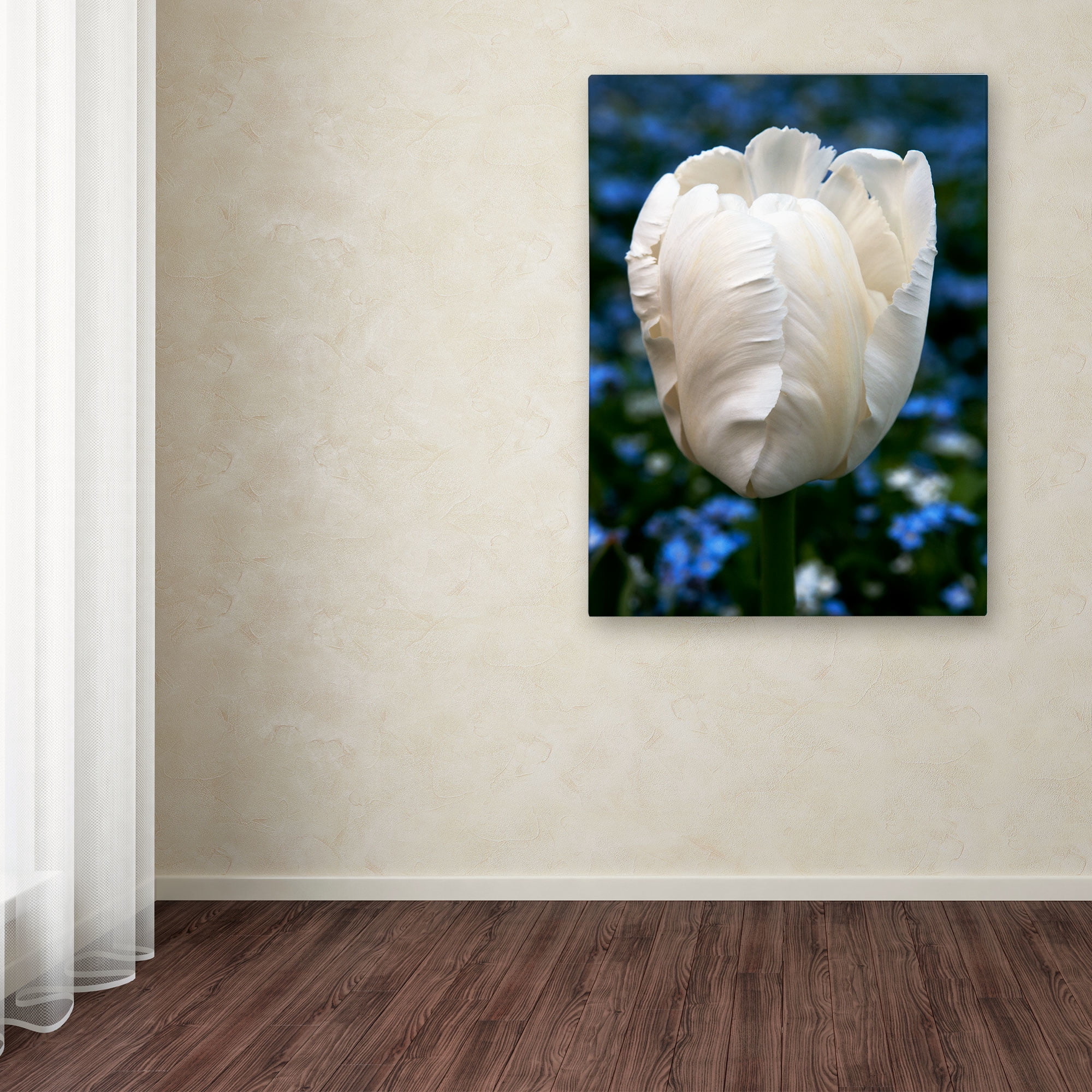 Trademark Fine Art "Parrot Tulip" Canvas Art by Kurt Shaffer